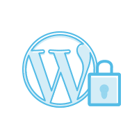 WordPress repair expert fixing a broken website